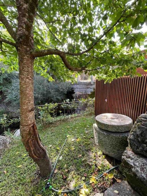 Villa Casa Da Tintim Em Baião Extérieur photo